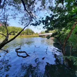 Welsh Harp Reservoir (Brent Reservoir) - Barnet