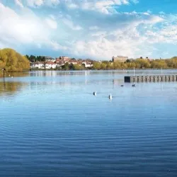 Welsh Harp Reservoir (Brent Reservoir) - Barnet