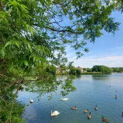 Welsh Harp Reservoir (Brent Reservoir) - Barnet