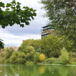 Welsh Harp Reservoir (Brent Reservoir) - Barnet