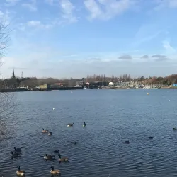 Welsh Harp Reservoir (Brent Reservoir) - Barnet
