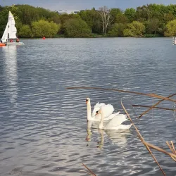 Welsh Harp Reservoir (Brent Reservoir) - Barnet