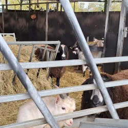 Cannon Hall Farm - Barnsley