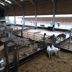 Cannon Hall Farm - Barnsley