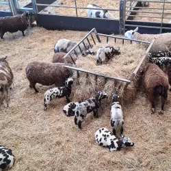 Cannon Hall Farm - Barnsley