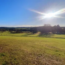 Cannon Hall Farm - Barnsley