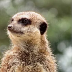 Cannon Hall Farm - Barnsley