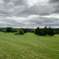 Cannon Hall Museum and Park - Barnsley