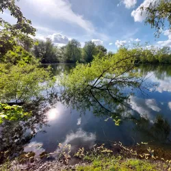 Priory Country Park - Barnsley