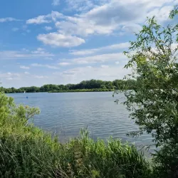 Priory Country Park - Barnsley