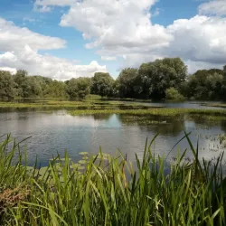 Priory Country Park - Barnsley