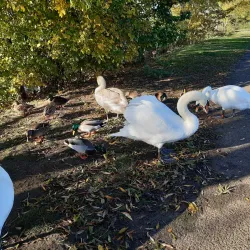 Priory Country Park - Barnsley