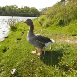 Worsbrough Mill and Country Park - Barnsley