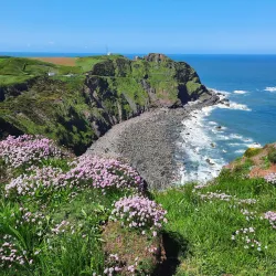 North Devon Coast Area of Outstanding Natural Beauty - Barnstaple