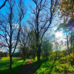 Riverside Park - Barnstaple