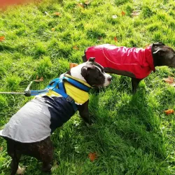 Riverside Park - Barnstaple