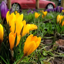 Riverside Park - Barnstaple