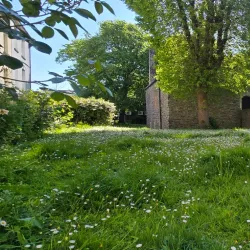 St Peter's Church - Barnstaple