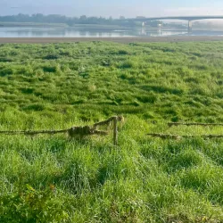 Taw Riverside Walks - Barnstaple