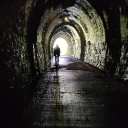 Taw Riverside Walks - Barnstaple