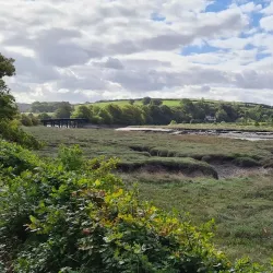 Taw Riverside Walks - Barnstaple