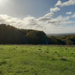 Basildon Golf Club - Basildon