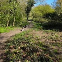 Basildon Golf Club - Basildon