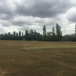 Basildon Sporting Village - Basildon