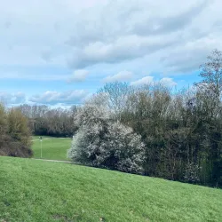 Northlands Park - Basildon