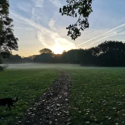 Northlands Park - Basildon