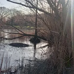 Northlands Park - Basildon