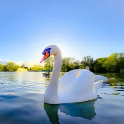 Northlands Park - Basildon