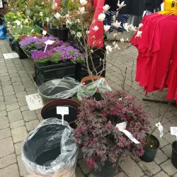 Pitsea Market - Basildon