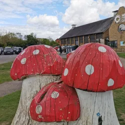 Wat Tyler Country Park - Basildon