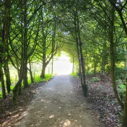 Prior Park Landscape Garden - Bath