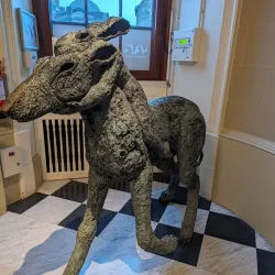 Victoria Art Gallery - Bath