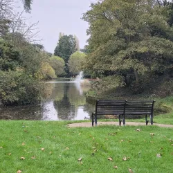 Bedford Park - Bedford