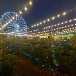 Bedford Park - Bedford