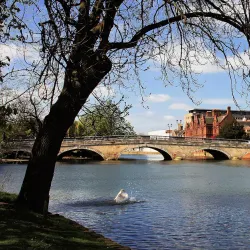 Bedford River Festival - Bedford