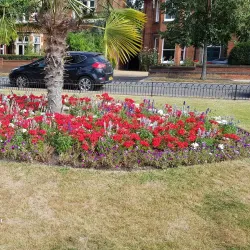 Bedford River Festival - Bedford