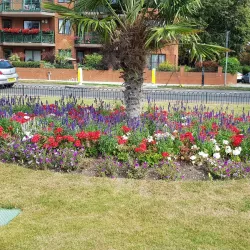 Bedford River Festival - Bedford
