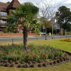 Bedford River Festival - Bedford