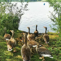 Priory Country Park - Bedford