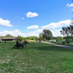 Priory Country Park - Bedford