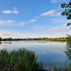 Priory Country Park - Bedford