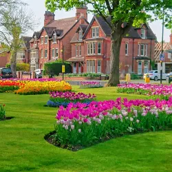 Russell Park - Bedford