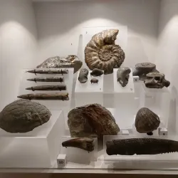 The Higgins Art Gallery & Museum - Bedford