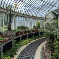 Botanic Gardens - Belfast