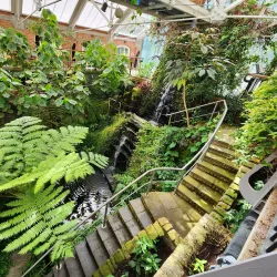 Botanic Gardens - Belfast