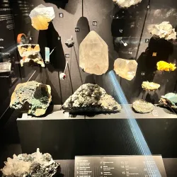 Botanic Gardens - Belfast